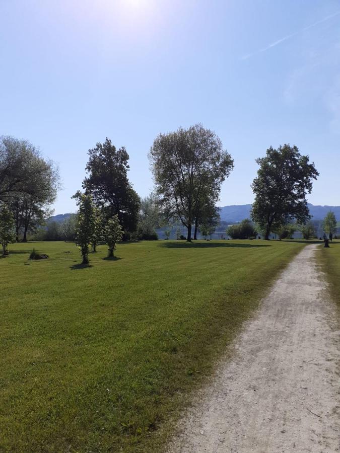 Hoamat#Am#See Seekirchen am Wallersee Exteriör bild